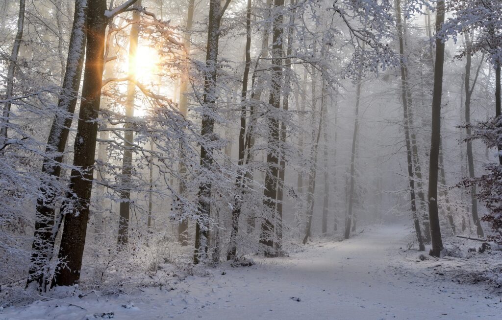 New hampshire winter, Winter in new hampshire, New hampshire in the winter